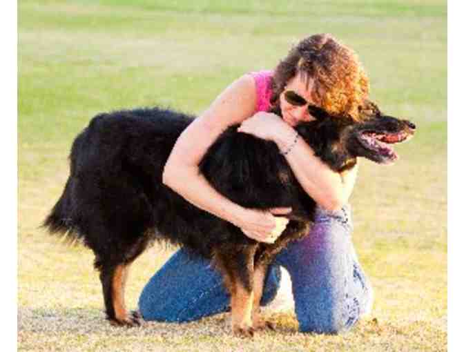 Pet Sitting or Dog Walking Service with Reigning Cats and Dogs - $75 Gift Certificate