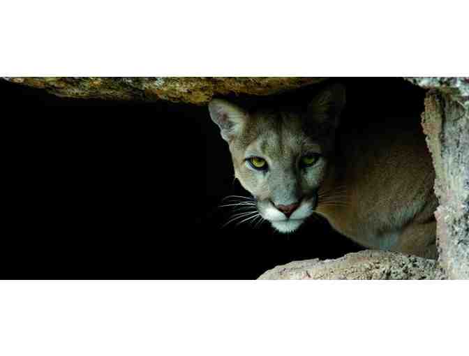 Arizona-Sonora Desert Museum - Two Passes