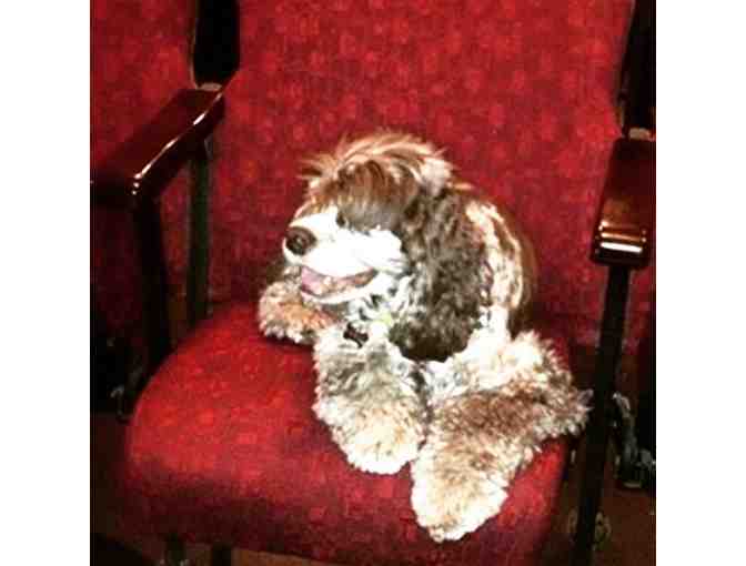 Invisible Theatre - Two Individual Tickets