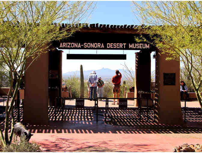 Arizona-Sonora Desert Museum - Two Passes - Photo 1