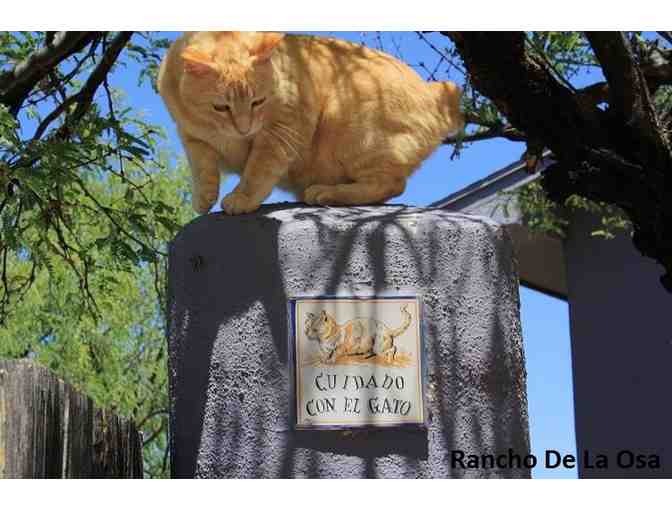 White Stallion Ranch, Rancho de la Osa OR Tombstone Monument Ranch - Two Night Stay