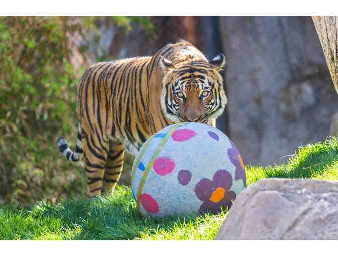 Reid Park Zoo - Four General Admission Tickets