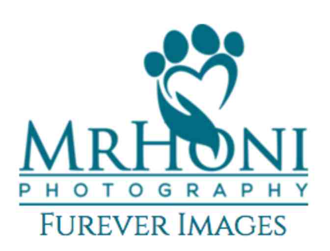 Professional Pet Photography Session and $400 Wall Art Credit - MrHoni Photography