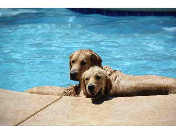 Tucson Adventure Dog Ranch - Two Days, Two Nights of Dog Boarding