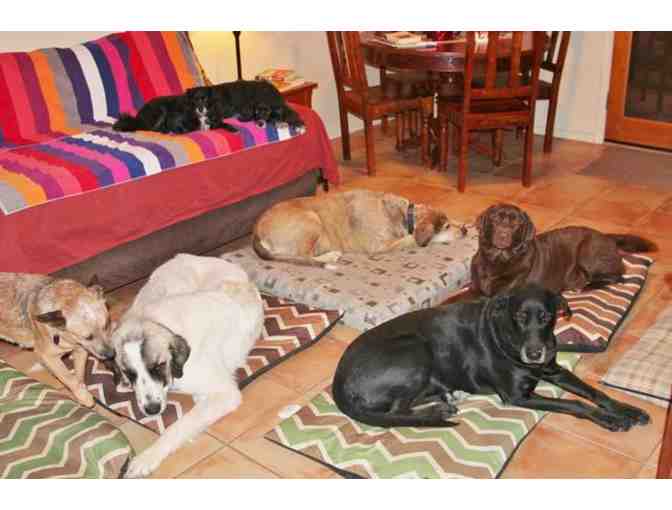 Tucson Adventure Dog Ranch - Two Days, Two Nights of Dog Boarding