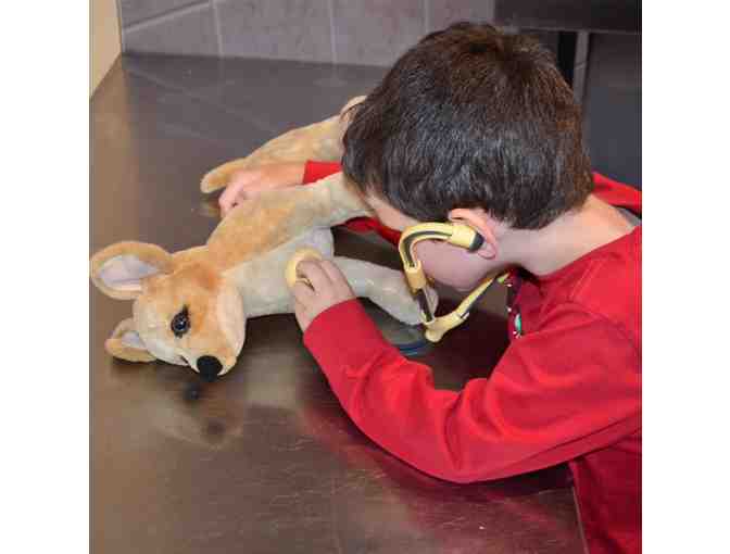 Family Daycation - i.d.e.a. Museum, OdySea Aquarium and Wildflower Bread Company