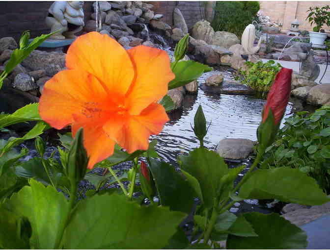 Raven Art Studio - $100 Gift Certificate (1 of 2)