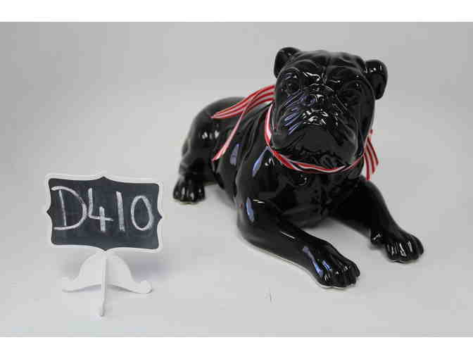 Laying English Bulldog in Black
