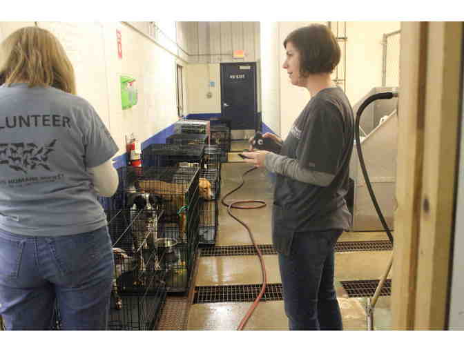 Participate in A Shelter Transfer With Our Chief Operations Officer