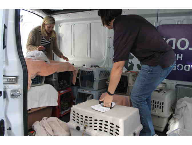 Participate in A Shelter Transfer With Our Chief Operations Officer