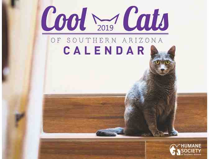 Cool Cats of Southern Arizona 2019 Calendar - Photo 1