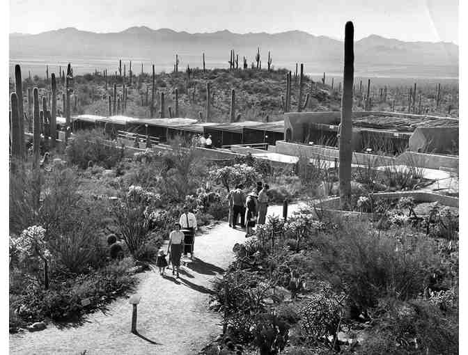 Arizona-Sonora Desert Museum - Two Passes