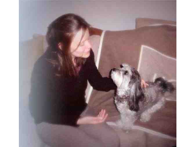 Andra's Animal Reiki - In-Person Animal Reiki Session In Your Home