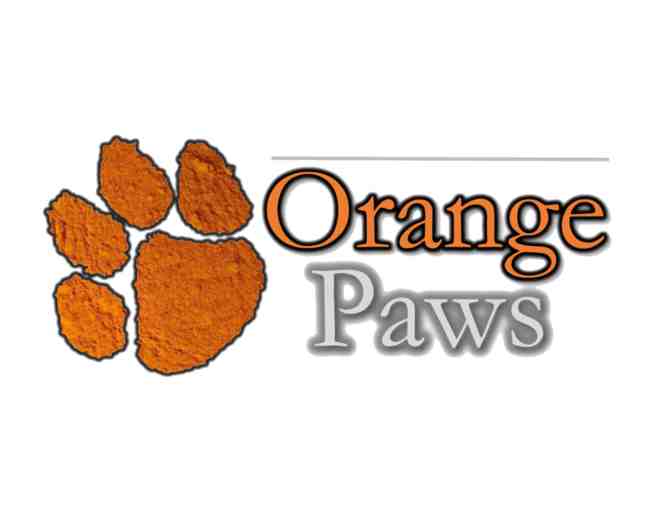 One (1) Year Supply of Orange Paws Turmeric Plus