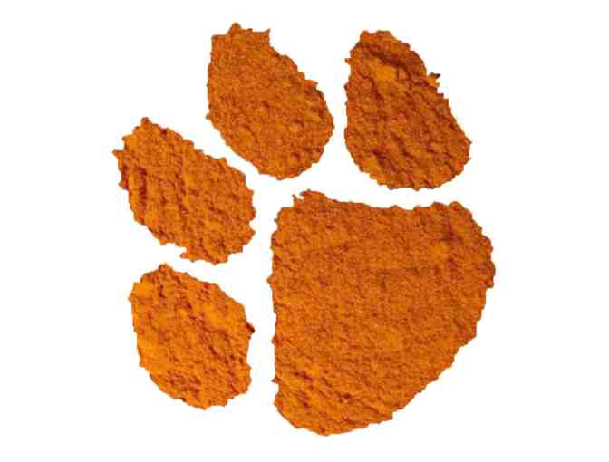 One (1) Year Supply of Orange Paws Turmeric Plus