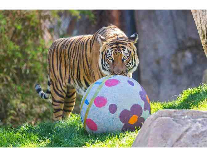 Reid Park Zoo - One Year Family Membership