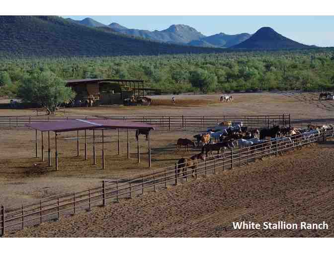 White Stallion Ranch, Rancho de la Osa OR Tombstone Monument Ranch - Two Night Stay