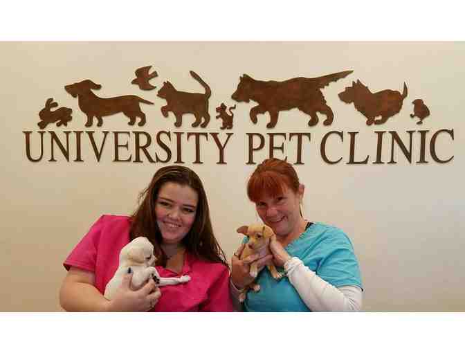 Pet Exam and Microchip at University Pet Clinic