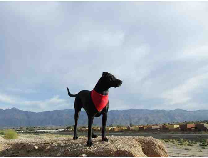Tucson Adventure Dog Ranch - Two Days, Two Nights of Dog Boarding