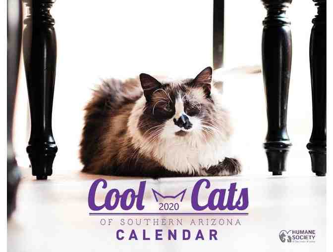Cool Cats of Southern Arizona 2020 Calendar - Photo 1
