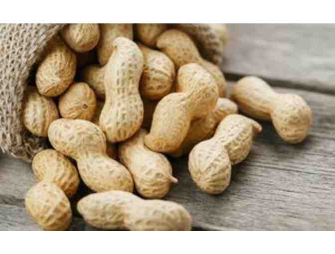 25lbs of Georgia Salted Peanuts - Photo 1