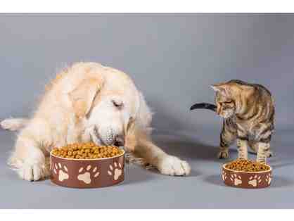 Feed a Shelter Pet for a Week
