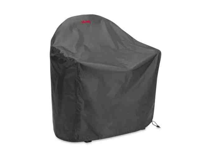 Big Daddy Plush Chair