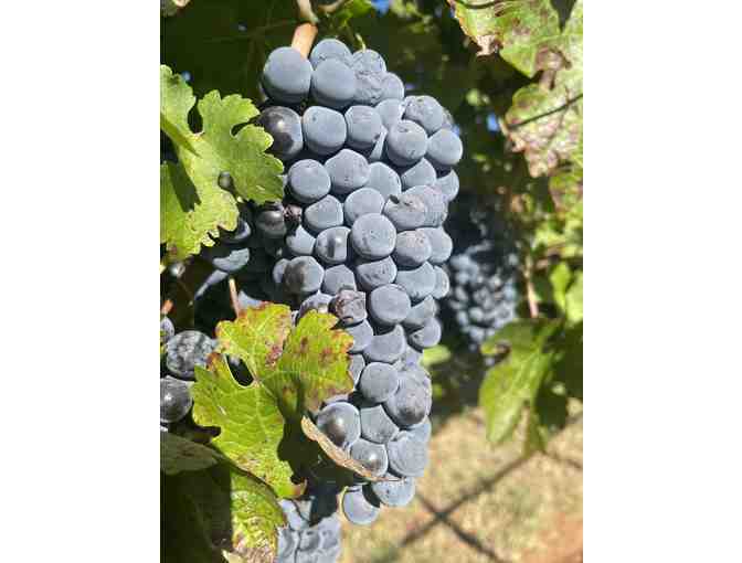 Wine Tasting in a Basket by Deep Sky Vineyards