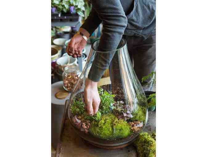 Terrarium Maker Party