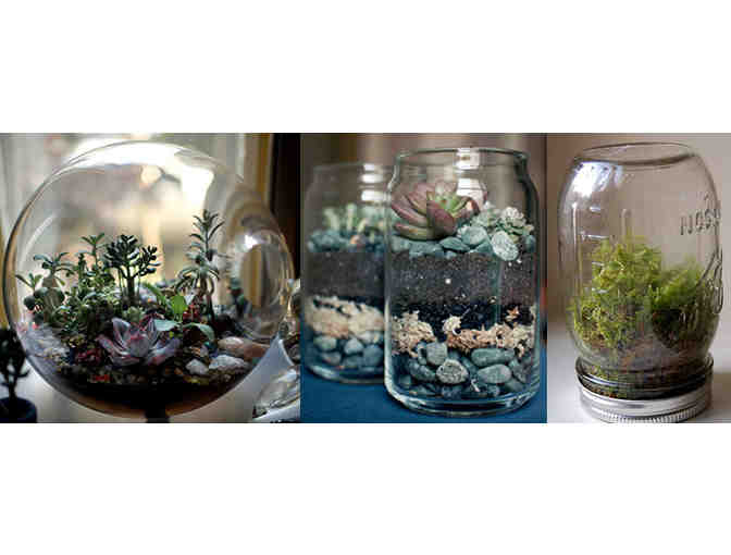 Terrarium Maker Party