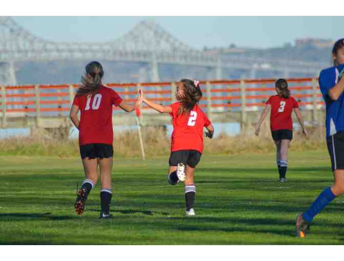 Private Soccer Clinic for 16 with Brandi Chastain
