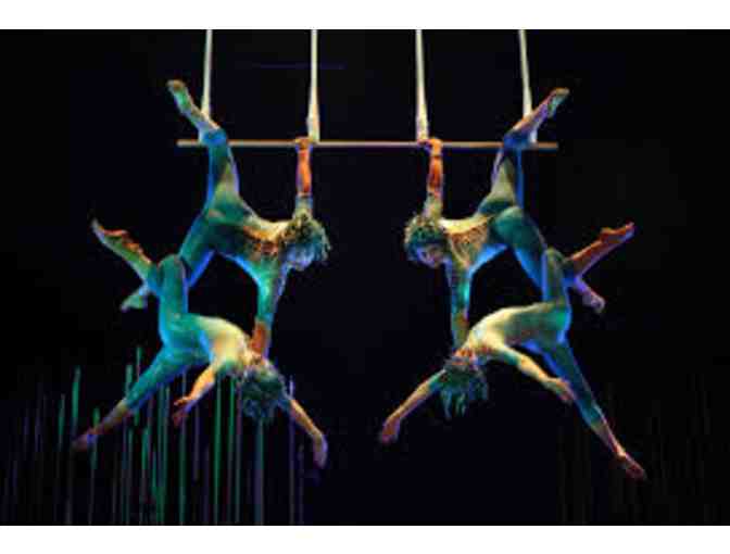 Electric Guitar & Cirque Du Soleil Duo