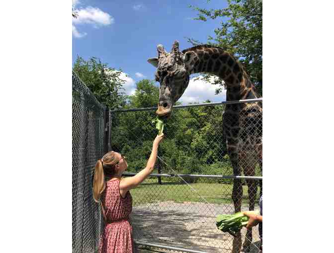 Nashville Zoo Behind-the-Scenes Tour