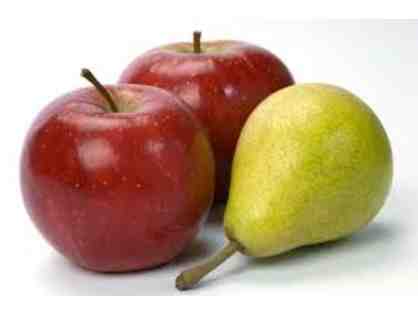 One Bin of Apples or Pears Rescued From Waste and Donated to the Hungry