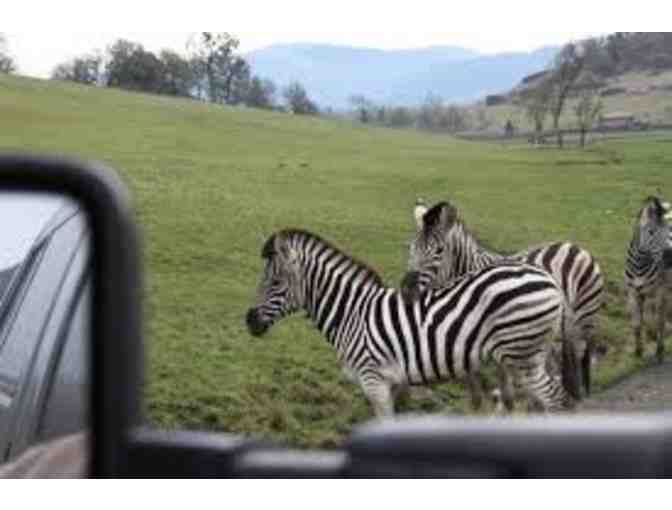 Wildlife Safari--Admission for Two People