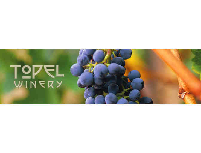 Topel Vineyards Tour and Tasting for 12 Followed by a 5 course pairing dinner by Georgia's Table