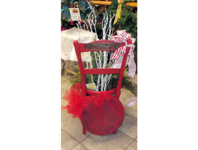 Cabbage Christmas Holiday Red Chair with Live Plants!