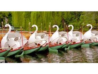 10 Tickets to the Famous Swan Boats in the Boston Public Garden