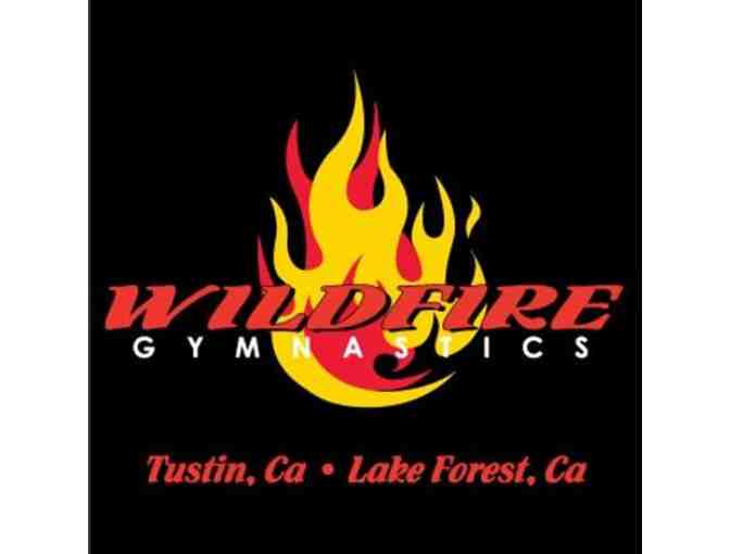 Wildfire Gymnastics: One Month of Free Gymnastics - Photo 1