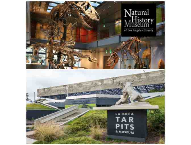 The Natural History Museum of LA or The La Brea Tar Pits and Museum - Photo 1