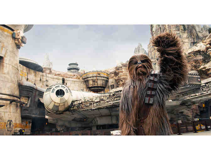 4 Family Pack of 1-Day Park Hopper Tickets to Disneyland