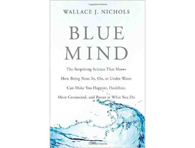 Two Powerful Books - Walking Distance and Blue Mind