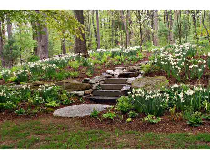 Consultation & Labor from Earth Designs Landscaping