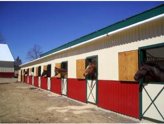 2 Beginner Riding Lessons For Children
