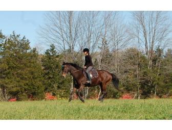 2 Beginner Riding Lessons For Children