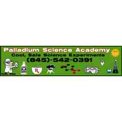 Palladium Science Academy