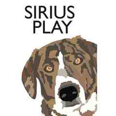 Sirius Play Dog Training and K9 Nose Work