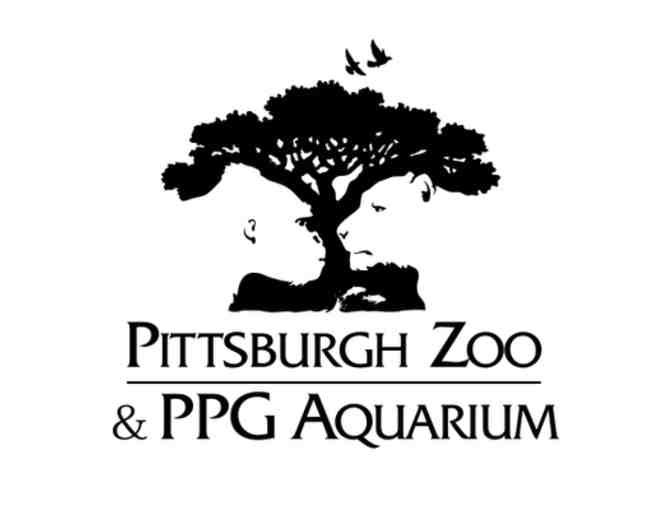 Wild Encounter at the Pittsburgh Zoo