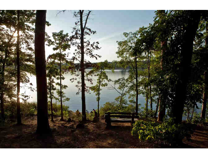 Camping Getaway at Hickory Hollow