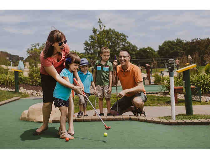 Fun Fore All Gift Basket